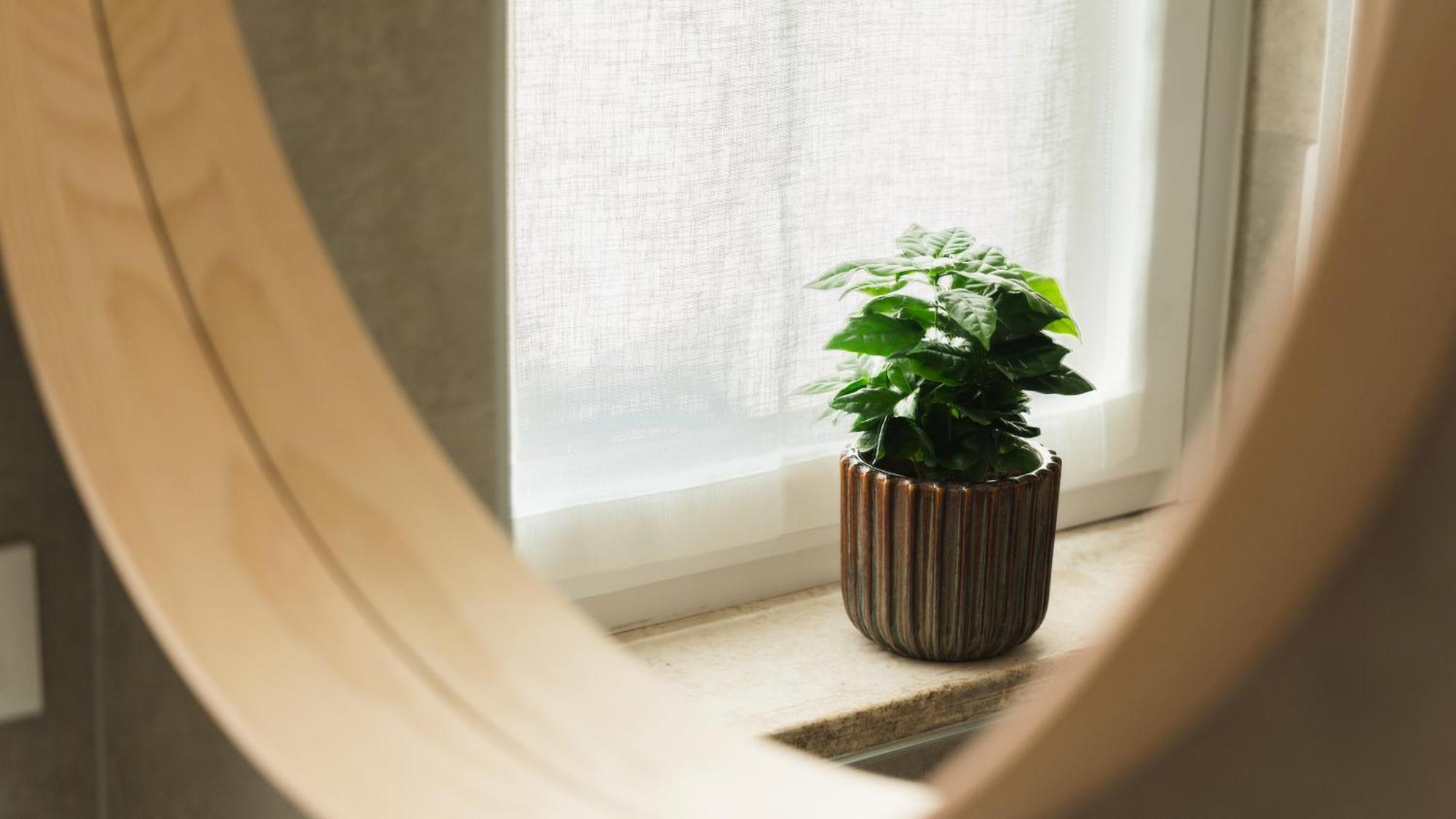 Freshly Renovated 10 Minutes From Arena Apartment Verona Ngoại thất bức ảnh